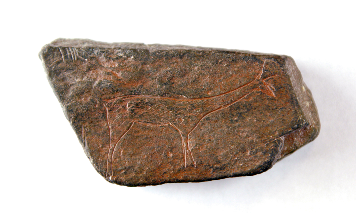 [MR 4173] – Plaqueta de pissarra amb un gravat que representa una cérvola jove. Procedeix de la balma de Sant Gregori (Falset). Època epipaleolítica (circa 9000 aE).